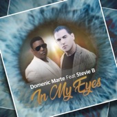 In My Eye (feat. Stevie B) [Extended Mix] artwork