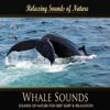 Relaxing Sounds of Nature - Whale Sounds - Sounds of Nature for Deep Sleep and Relaxation