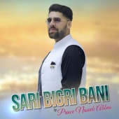 Sari Bigri Bani artwork