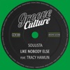 Like Nobody Else (feat. Tracy Hamlin) - Single