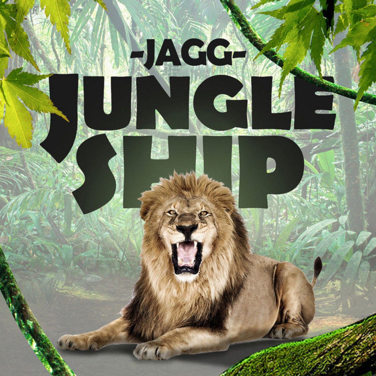 Jungle jungle album. Jagg. Jungle обложка. Jungle ship. Джангл паф.