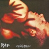 Raf - Cannibali