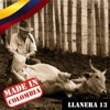 Made In Colombia / Llanera / 13
