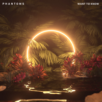 Phantoms - Want to Know artwork