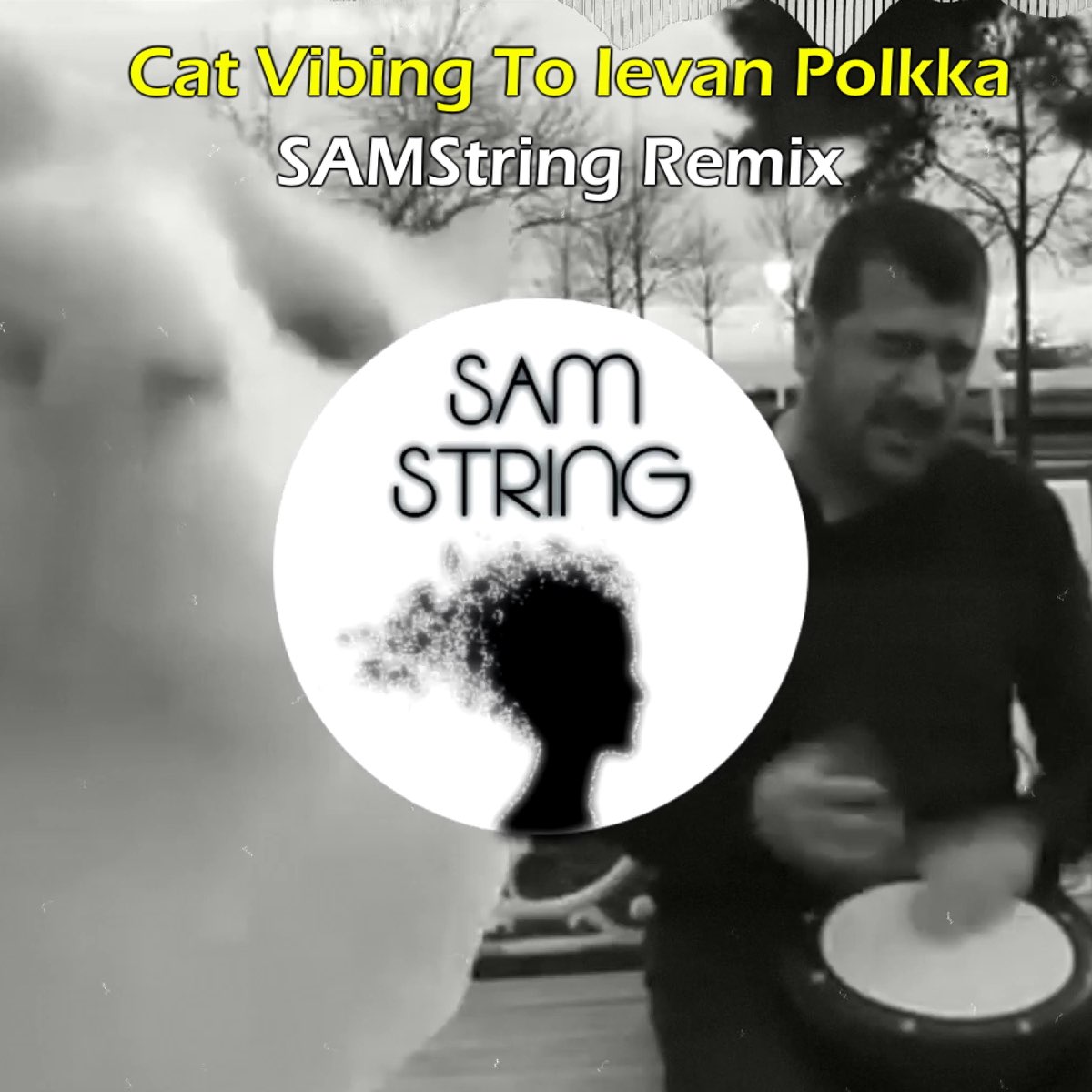 cat vibing to ievan polkka