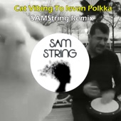 Cat Vibing To Ievan Polkka (Remix) artwork