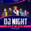 DJ Night Club Hits song lyrics
