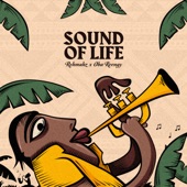 Sound of Life artwork