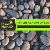 Nature As a Gift of God artwork