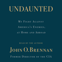 John O. Brennan - Undaunted artwork