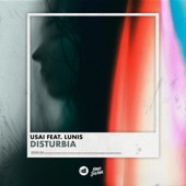 Disturbia (feat. Lunis) artwork