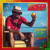 Shaggy - Raggamuffin Christmas (feat. Junior Reid & Bounty Killer)