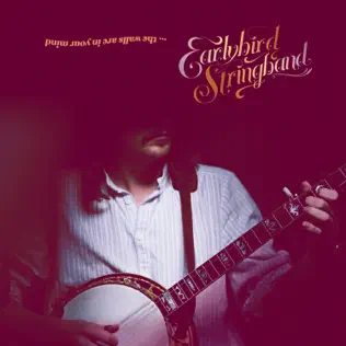 lataa albumi Earlybird Stringband - The Walls Are In Your Mind