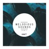 Melodious Sounds, Vol. 14, 2020