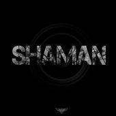Shaman artwork