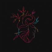 heartbeat artwork