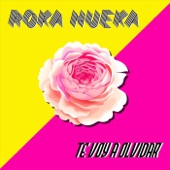 Roka Hueka - Te Voy a Olvidar