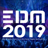 EDM 2019: Best of Electro, Trance, Future Bass, House, Reggae, Hip-Hop & Rap artwork