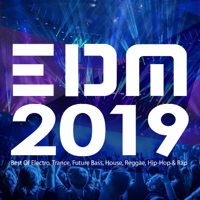 Various Artists - EDM 2019: Best of Electro, Trance, Future Bass, House, Reggae, Hip-Hop & Rap artwork