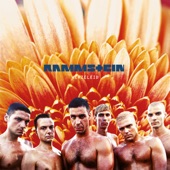 Rammstein by Rammstein