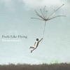 Feels Like Flying - Single