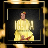 Igama Lakho Linamandla artwork