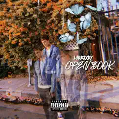Open Book - Single by Lukejxdy album reviews, ratings, credits