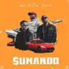 Stream & download Sumando - Single