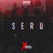 Seru artwork