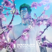 Forget (About Everyone Else) artwork