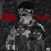 Slumdog Millionaire artwork