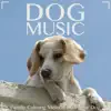 Dog Music: Gentle Calming Melodies for Your Dog album lyrics, reviews, download
