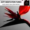 Soft Meditation Tunes - 2020 Reiki Healing Music