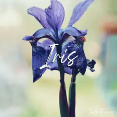 Iris - Single by Jada Facer album reviews, ratings, credits