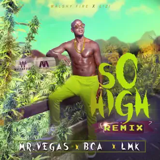 So High Radio (Spanish Remix) by Mr. Vegas, BCA & LMK song reviws