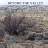 Beyond the Valley - Single