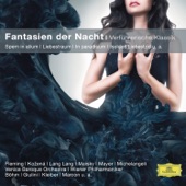 Fantasien der Nacht - Verführerische Klassik (Classical Choice) artwork