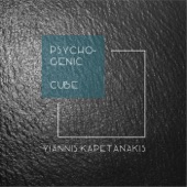 Psychogenic Cube artwork
