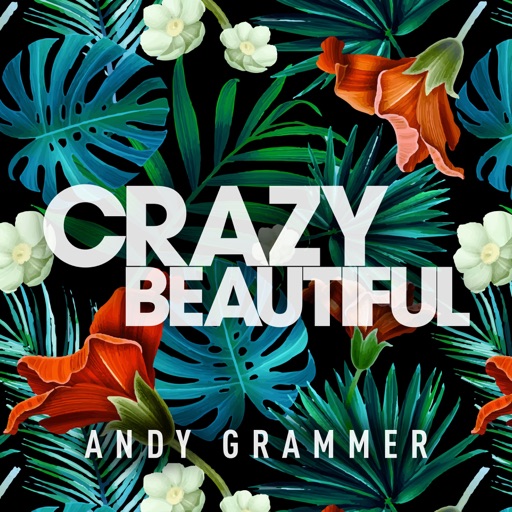 Art for Crazy Beautiful by Andy Grammer