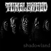 Shadowland artwork