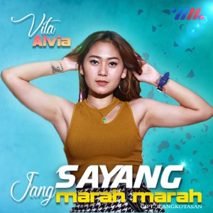 Vita Alvia - Sayang Jang Marah Marah (DJ Remix) - Line Dance Music