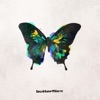 Butterflies - Single