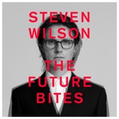 Steven Wilson - FOLLOWER