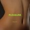 Pleasure artwork