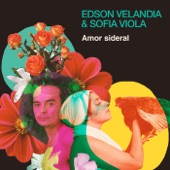 Amor Sideral (feat. Juancho Valencia) artwork