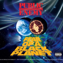 FEAR OF A BLACK PLANET cover art