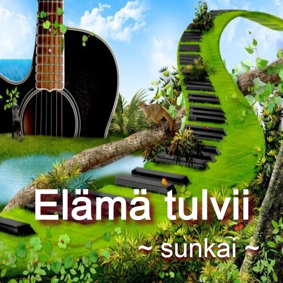 Cover artwork for Pieniä Tulvia
