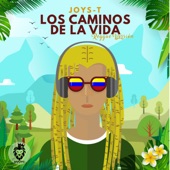 Los Caminos de la Vida (Versión Reggae) artwork