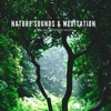 Nature Sounds & Meditation