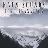 Rain Sounds For Relaxation artwork